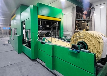 純堿全自動(dòng)噸袋計(jì)量包裝機(jī)