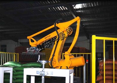 化工廠如何選擇合適的全自動碼垛機(jī)？