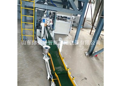 膩?zhàn)臃圩詣?dòng)包裝碼垛線 全自動(dòng)包裝碼垛設(shè)備