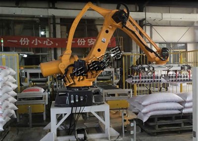 袋料全自動拆垛機視頻