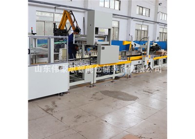 小袋白糖裝箱碼垛設備 全自動箱料碼垛系統(tǒng)