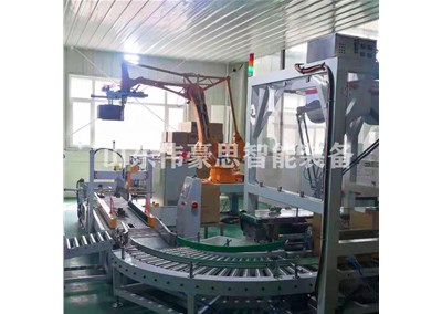 瓜子全自動裝箱碼垛線有哪些特點(diǎn)？