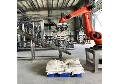 魚飼料拆垛機(jī)器人 機(jī)械手拆垛機(jī)優(yōu)勢