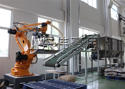 高嶺土拆垛機器人 自動拆垛拆包線方案