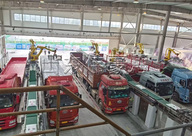 雙機(jī)器人全自動裝車機(jī)